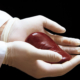 Kidney Transplant - absorbent sterile mats to keep surgeon's hands warm